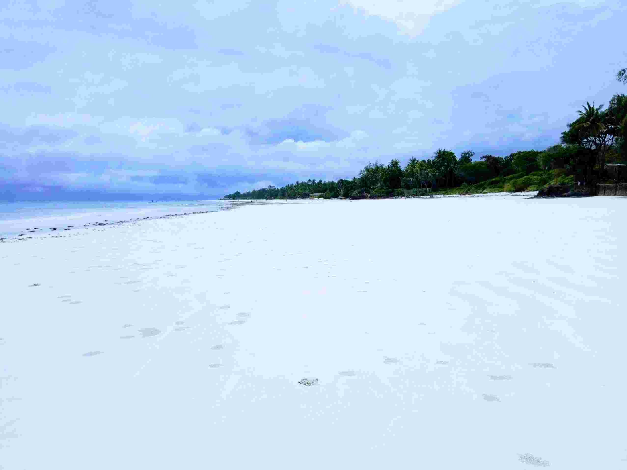 Diani Beach Safari