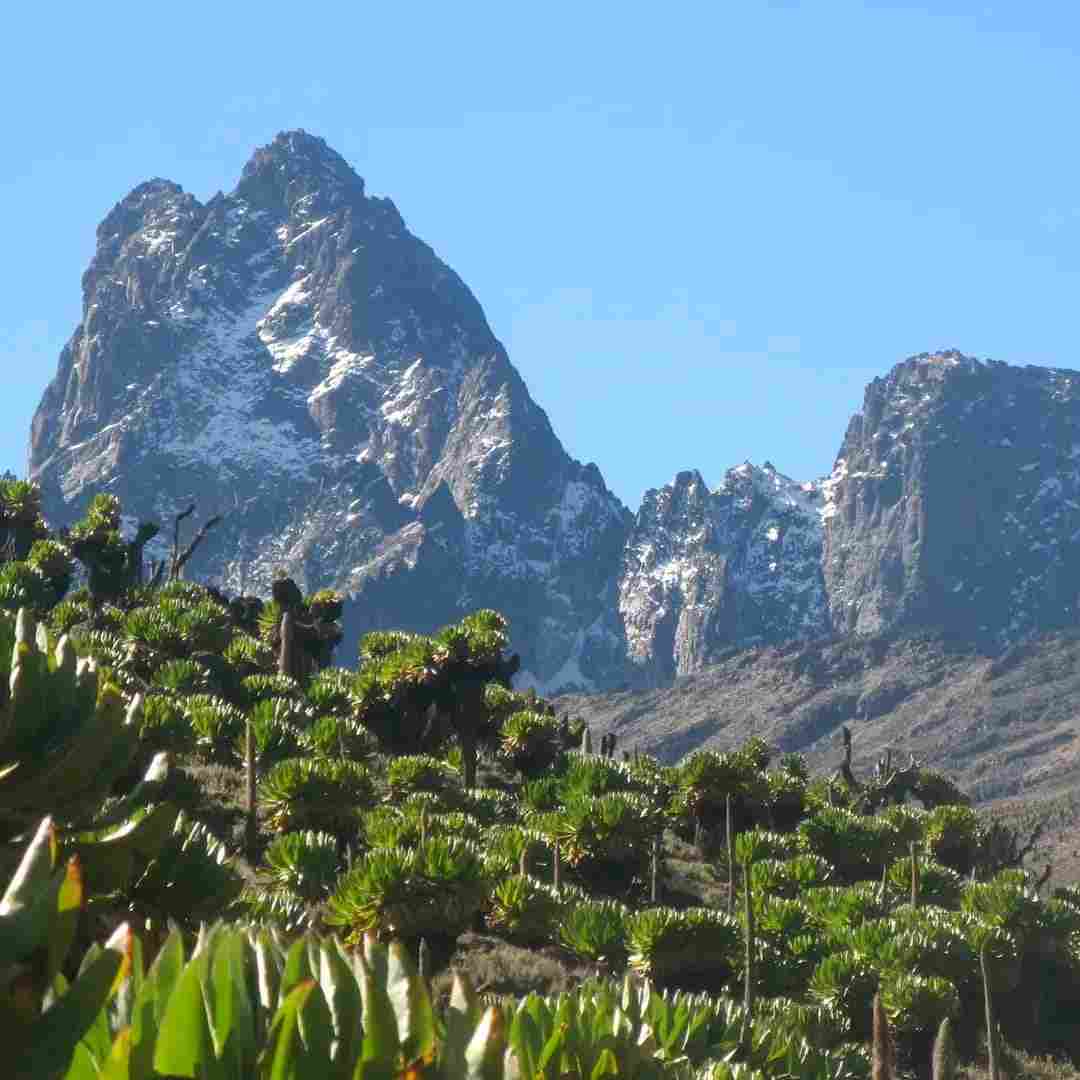 Mount Kenya Safari